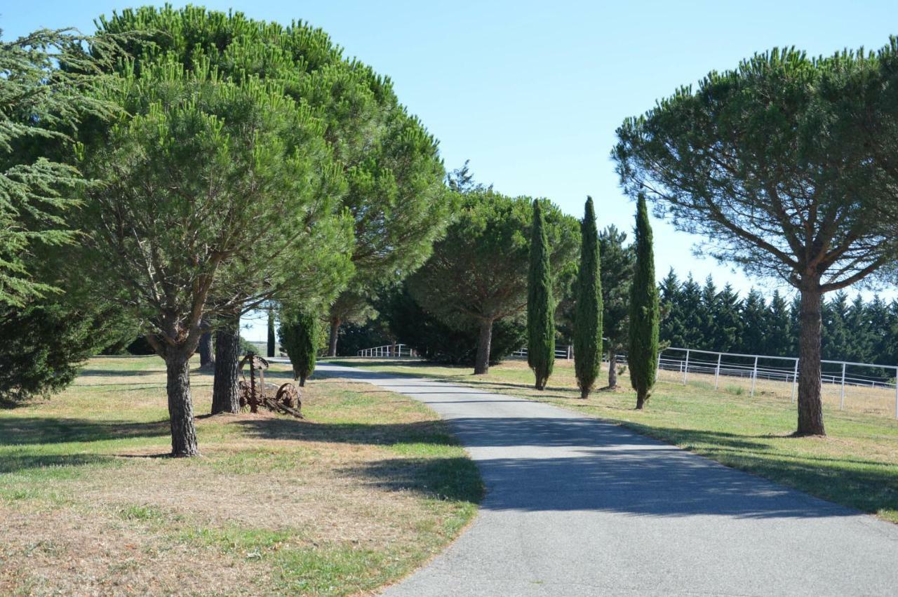 Les Hiboux Du Domaine Du Moulin Vila Etables  Exterior foto